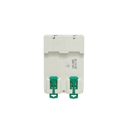 2-418.jpg Siguranta automata tip intrerupator 2P, 100A 400V, 4.5kA Suntree - imagine 1